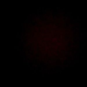 Meet your Posher, Alexus